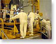 Nuclear plant workers